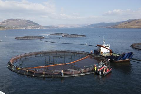 Salmon farm