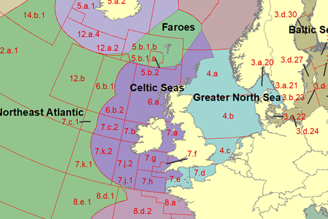 ICES statistical areas
