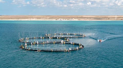Three fish pens on the Caspian Sea