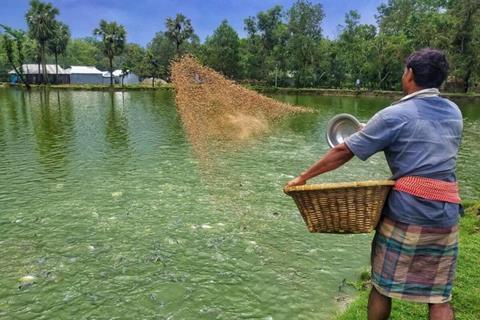 Bangladesh aquaculture counts the cost of climate change