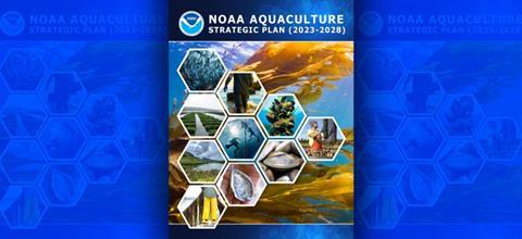 noaa-aquaculture-strategic-plan