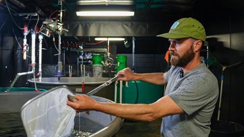 Fish farm worker holding a fish and net over a small tank