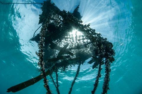 Drifting fish aggregating devices