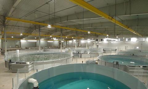 Aquaculture pens inside a laboratory