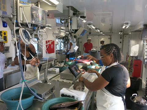 Sorting catches on board the research vessel ©Maik Tidemann