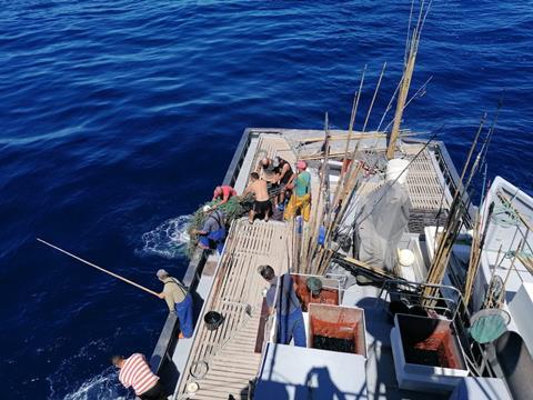 d120ca7f-0963-6e1d-b3ca-da0aeb961b92