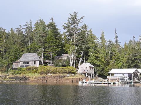 Canoe Lagoon Oysters