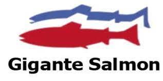 Gigante Salmon