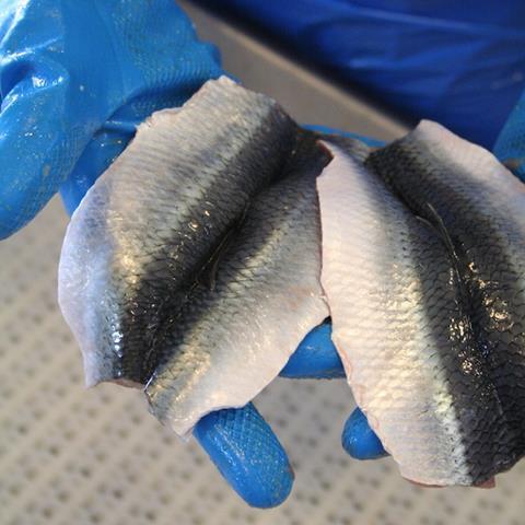 Processors could stop sourcing raw material from the disputed fisheries if no agreement is reached