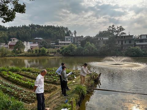 Examination of grass carp pond in China