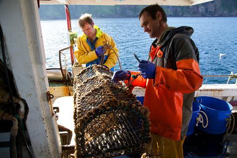 NSF Community Catch Orkney Crab