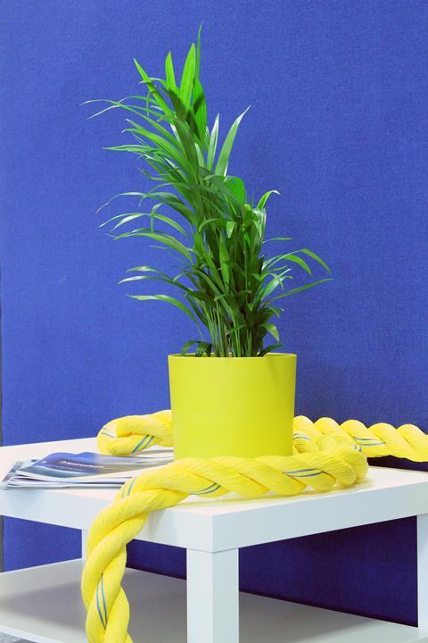 Gael Force Plastic Pot