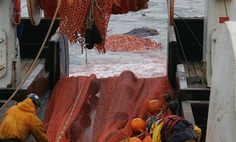 NOAA has two new survey team leads monitoring bottom-dwelling fish and crabs