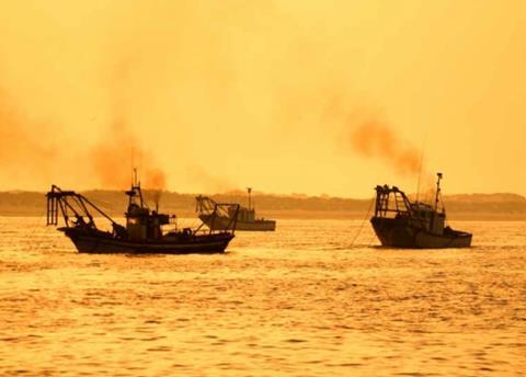 Oceana EU Decarbonise Report