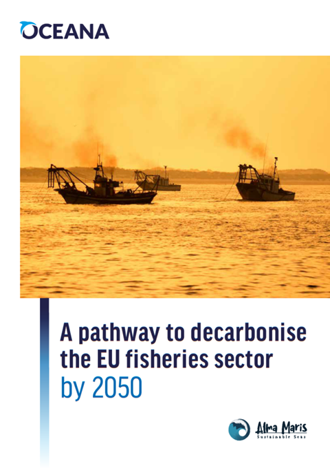 A pathway to decarbonise the EU fisheries sector by 2050