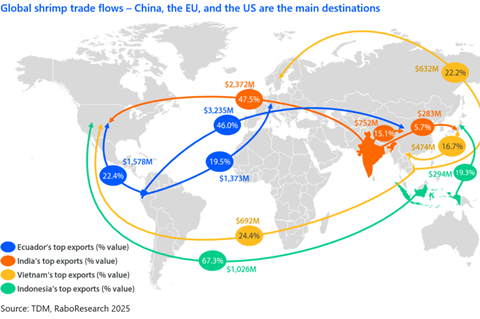 The image shows a shrimp market flow diagram visual