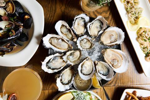 Taylor Owned Raw Bar Oysters