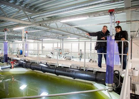 Alltech Coppens salmon hatchery