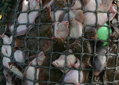 Icelandic fishing vessels are protesting about the government’s fishing quota bill