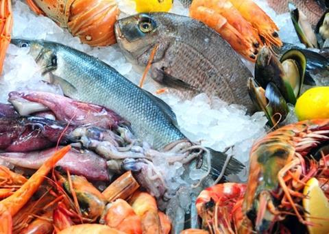 Seafood supply chains
