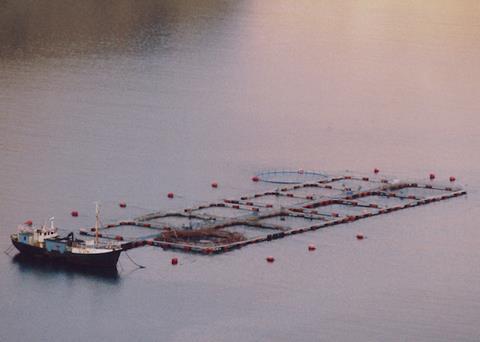 The AFS meeting will explore how fisheries can benefit from aquaculture Photo: File photo
