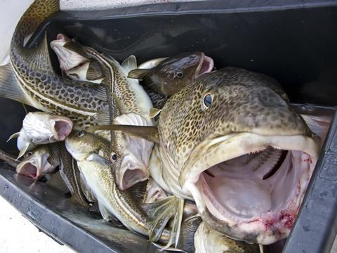 The EU-Norway fishing agreement for 2013 is up for discussion this week
