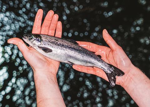 Scottish Sea Farms used no antibiotics in 2020 Photo: Scottish Sea Farms