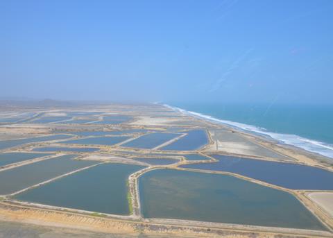 BioMar has been servicing Latin American shrimp farmers from its in Costa Rica since 2016