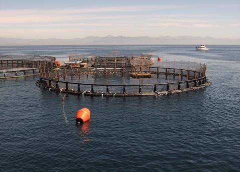 Focus on Greece at High Energy Mariculture