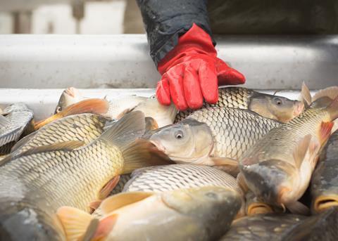 Aquaculture’s motor-driven potential