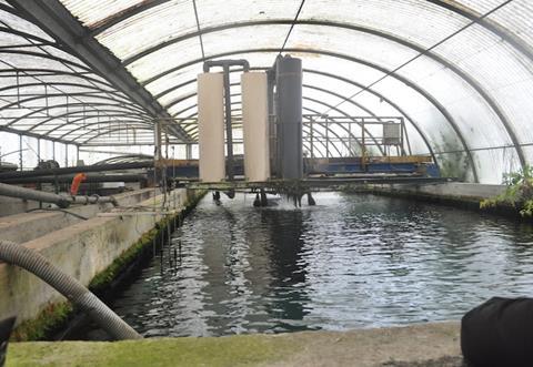 Russia seeks to boost domestic aquaculture