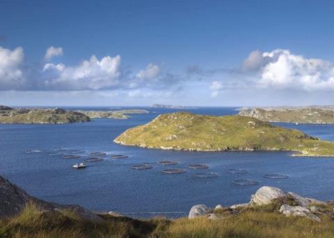 The BAP certification programme has grown by more than 15% Credit: GAA