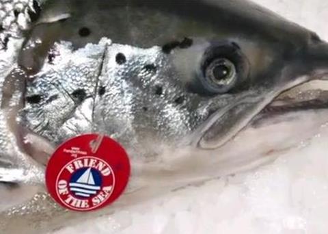 The campaign aims to introduce viewers to Friend of the Sea certification