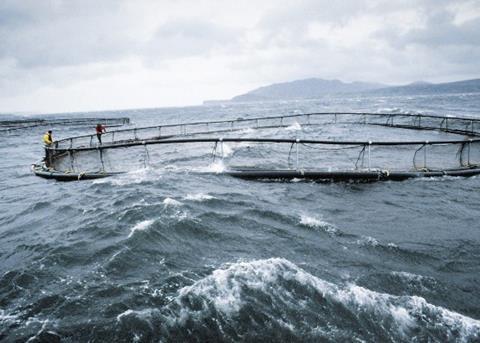 Aquaculture will provide close to two thirds of global food fish consumption by 2030. Credit: Marine Harvest