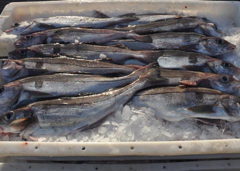 High Liner achieved 100% of its goal for Atlantic haddock, cod, sole/flounder and pollock, among others