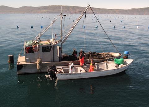 Ocean sustainability