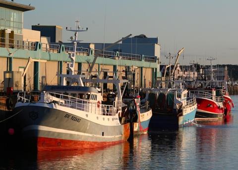 Six auctions in Brittany opt for Kosmos