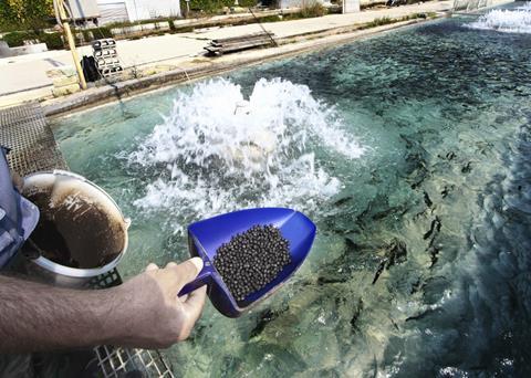 Protix breeds insects for animal feed