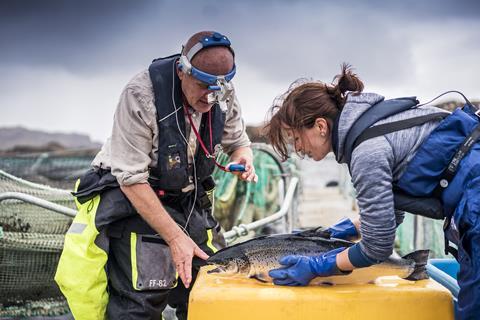 Salmon Scotland tech