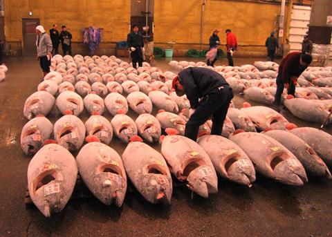 Tokyo's Tsukiji Fish Market. Credit: Fisherman/CC BY-SA 3.0 via Wikimedia Commons