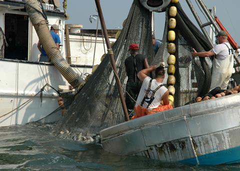 The FAO has published its 2012 edition of The State of World Fisheries and Aquaculture. Credit: John Surrick/Chesapeake Bay Foundation/Marine Photobank