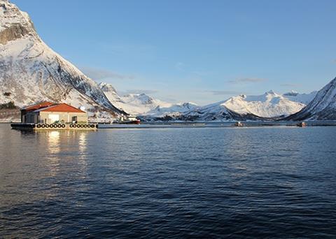 The stakeholders involved hope the model created for farmed salmon feed can expand to other species