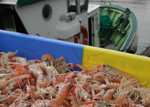 Langoustine