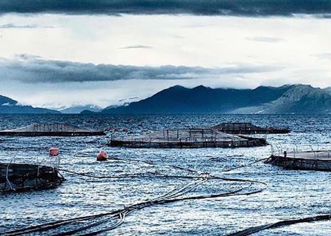 BioMar has formulated price competitive, high performance feed with a low FIFO ratio