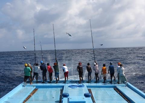 Pole and line fishing gear - Marine Stewardship Council