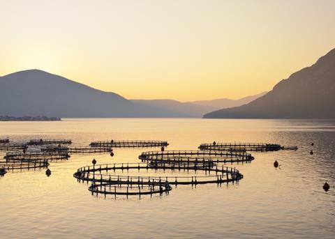 LNG aquafarming project