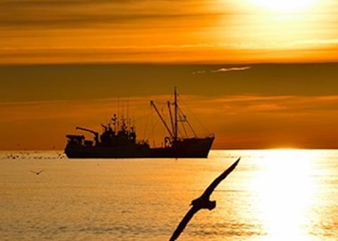 NAFO agrees VME protection measures