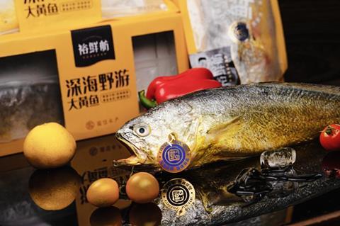 Conson's ASC-certified yellow croaker