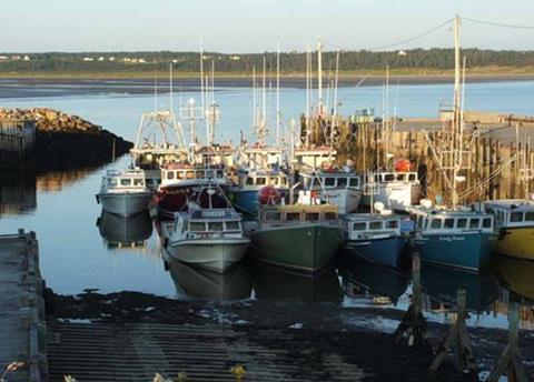 Canada is investing in its harbours to support the commercial fishing industry