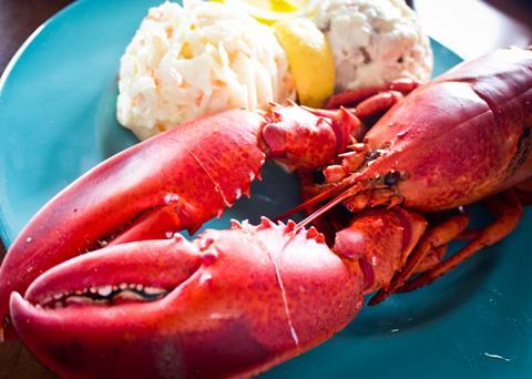 The Canadian lobster fishery has entered into MSC assessment. Credit: Benson Kua/CC BY-SA 2.0